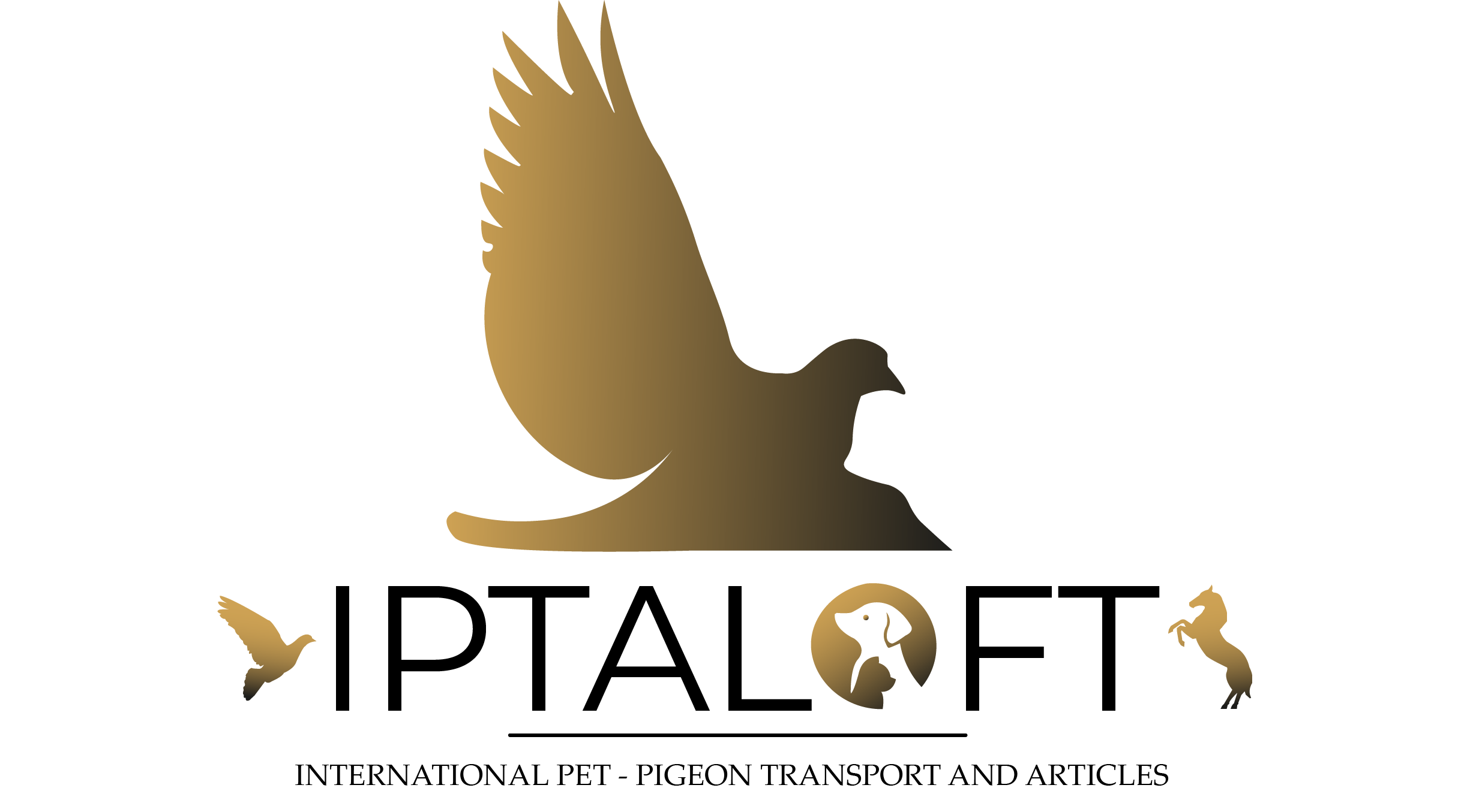 IPTALOFT